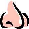 nose