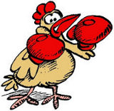 gallo